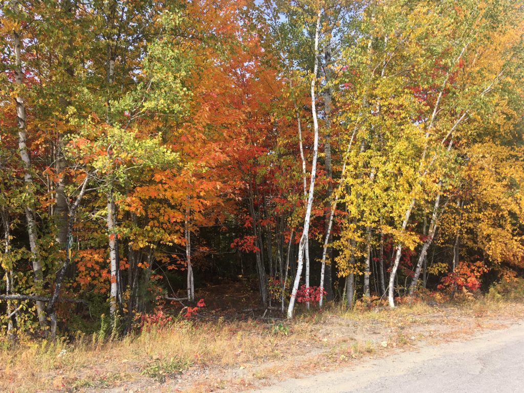 Moosehead Lake Economic Development Corporation to build new homes in