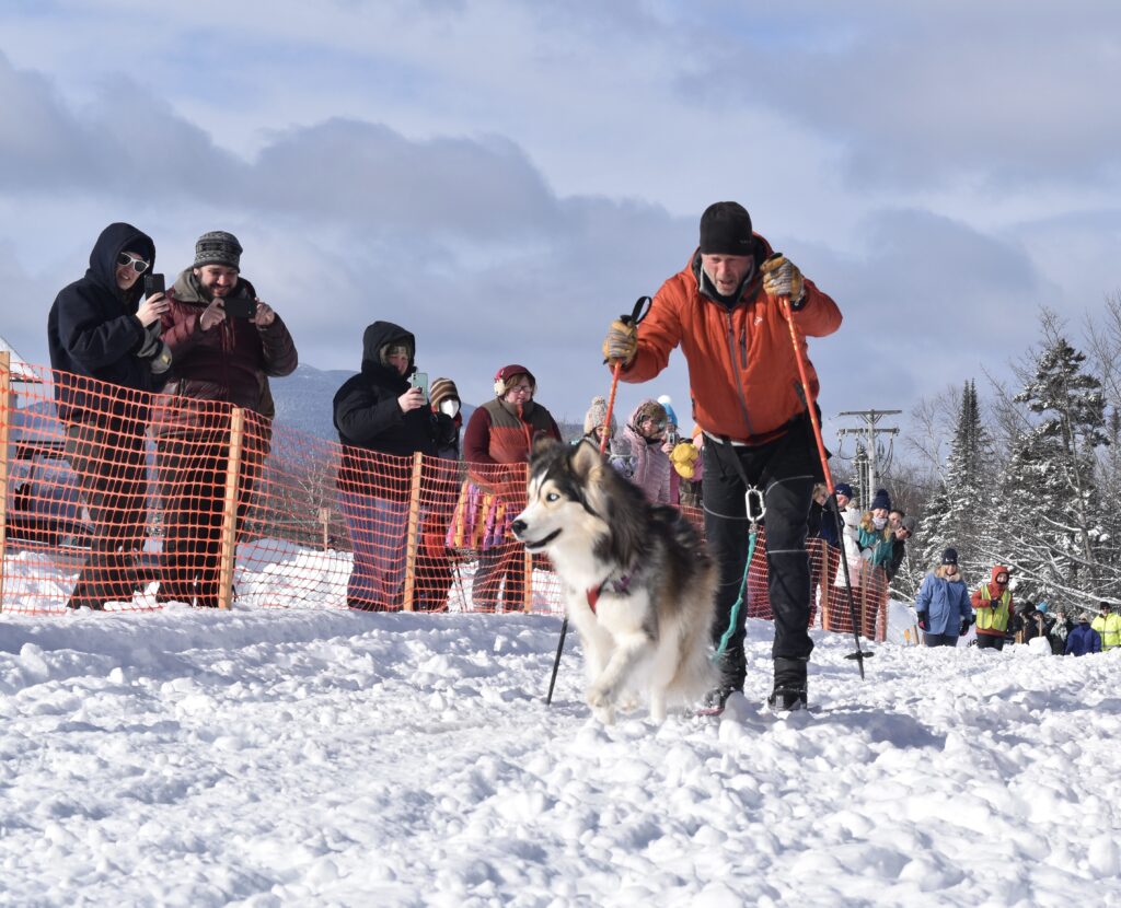 Sled Dog and Musher promoted Sled Dog Racing at Riverton Library, News