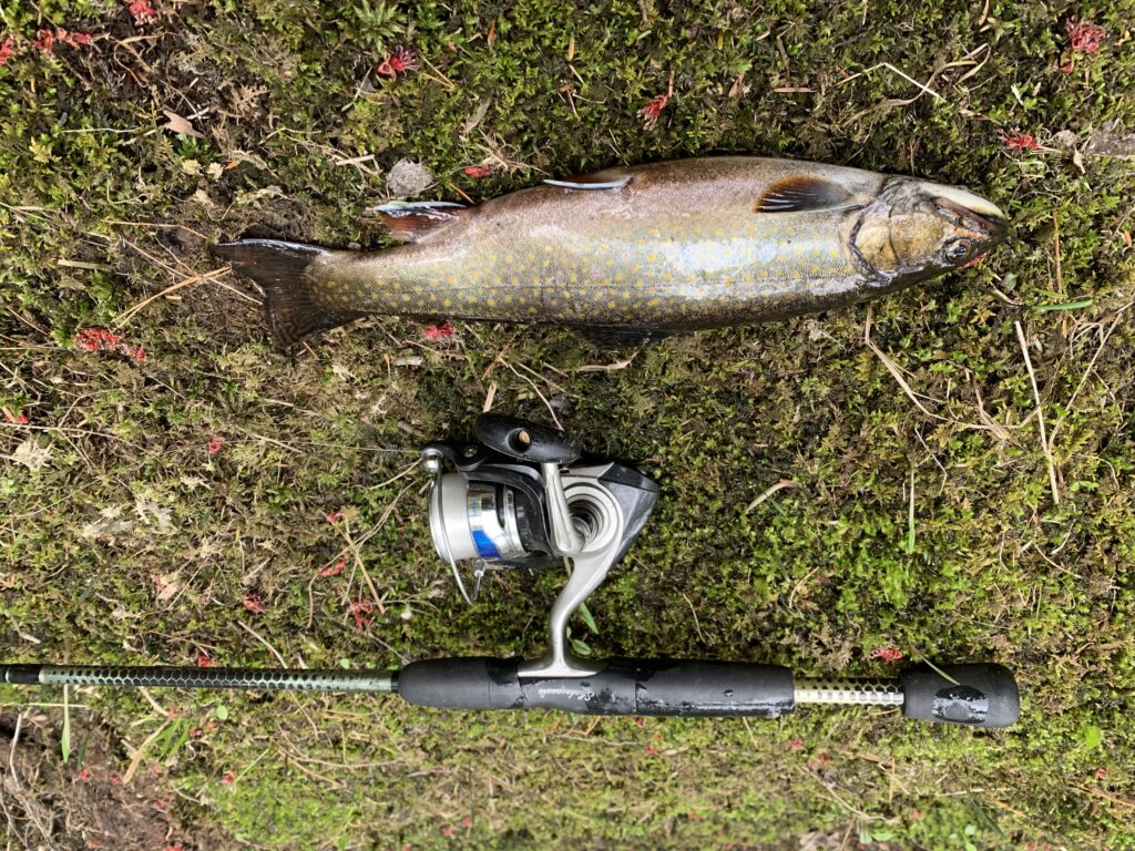 Spring brook trout fishing is a simple but intoxicating experience