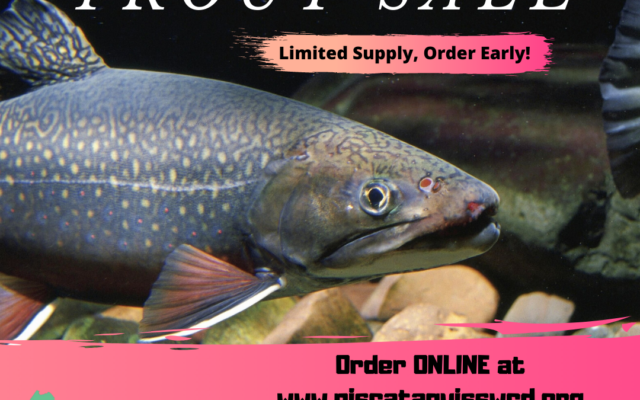 Trout Fishing: The Only Thing Worth Getting Up Early For iPad Case & Skin  for Sale by Cedinho