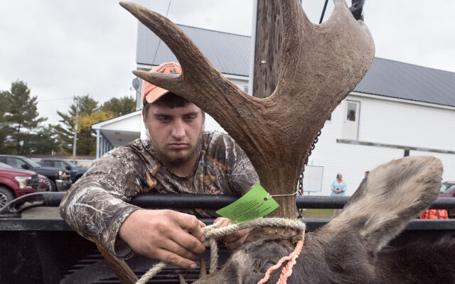 Maine Department of Inland Fisheries & Wildlife - Interested in