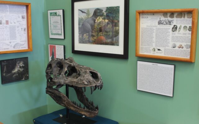 Why there are no dinosaur fossils in Maine - Piscataquis Observer - Vimarsana News
