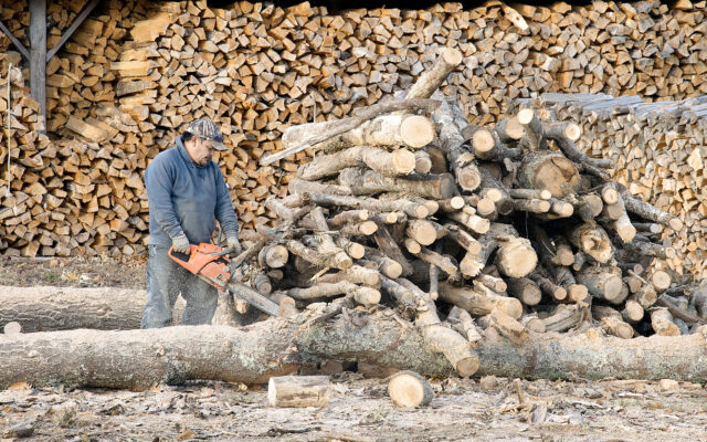 Seven things you need to know before buying firewood for the first time -  Piscataquis Observer