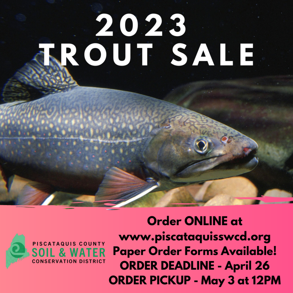 Trouts President's Day Weekend Sale!