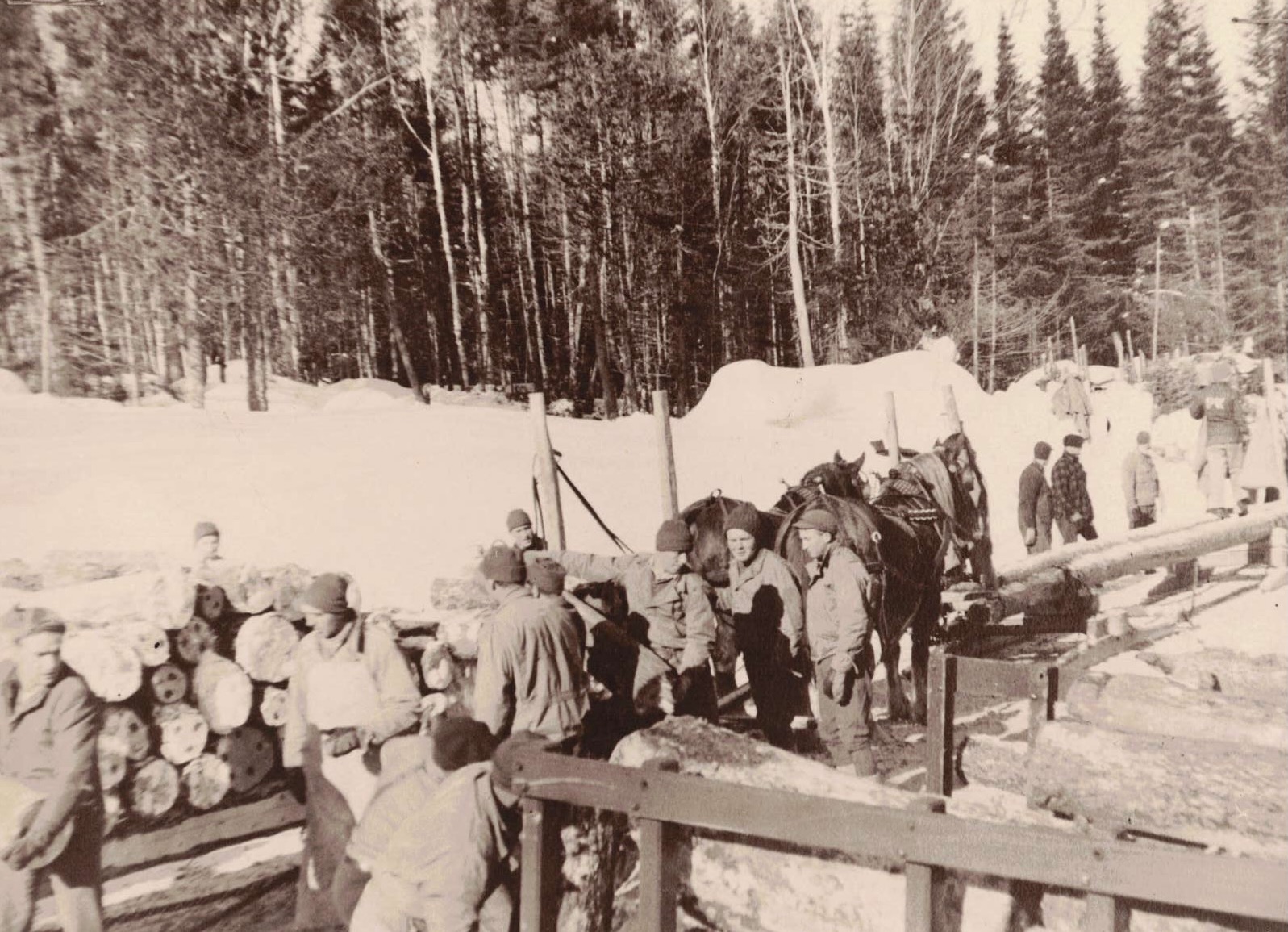 Unearthed jacket reveals glimpse into Maine POW camp during WWII