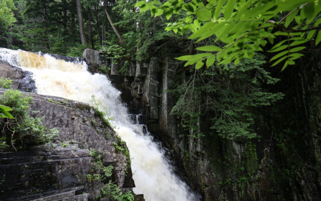 This hike leads you to an enchanting waterfall on the Appalachian Trail - Vimarsana News