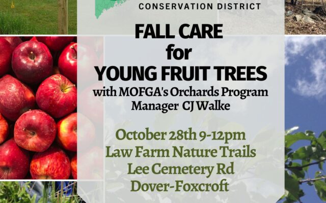 PCSWCD offers 'Fall Care for Young Fruit Trees' - Piscataquis Observer - Vimarsana News