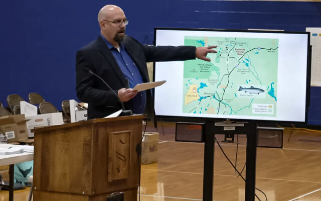 On 3rd day of public hearing, Wolfden says rezoning approval will boost its worth - Vimarsana News