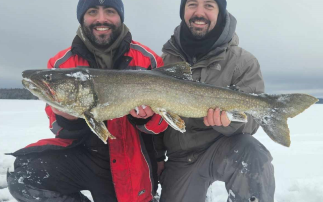 Derby-winning togue on Moosehead weighed almost 15 pounds - Piscataquis  Observer